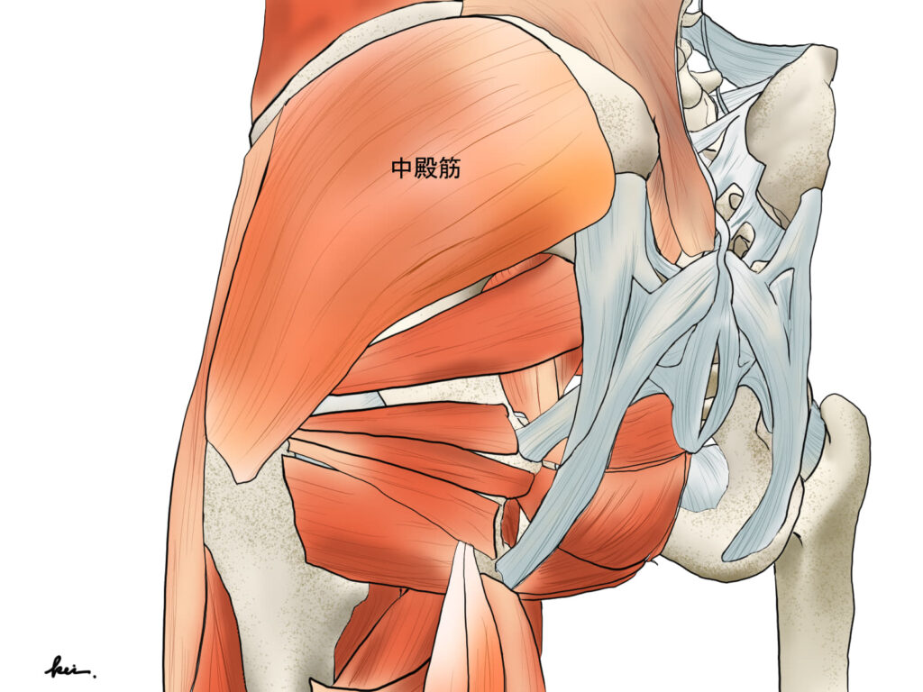 筋肉の癒着を取る